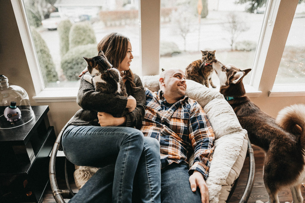 in home lifestyle couple session in federal way with cats and dog