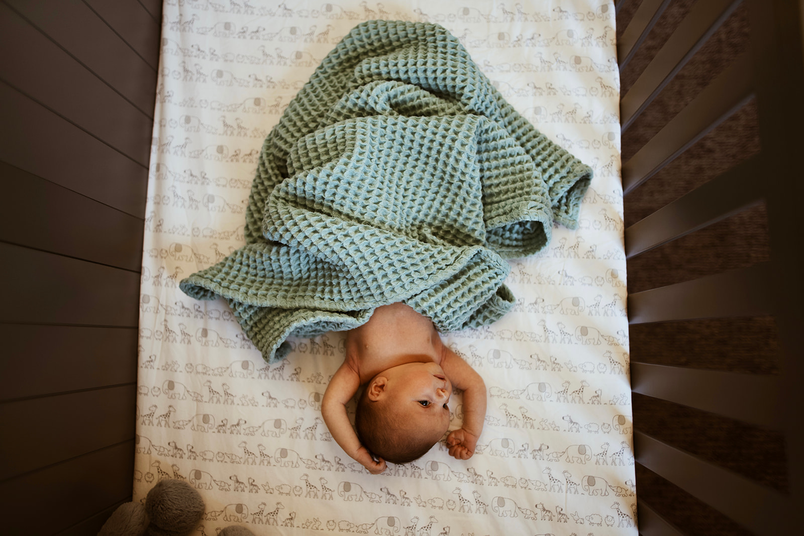 overhead shot of newborn baby in his crib with a waffle blanket on top of him during a boise lifestyle newborn session