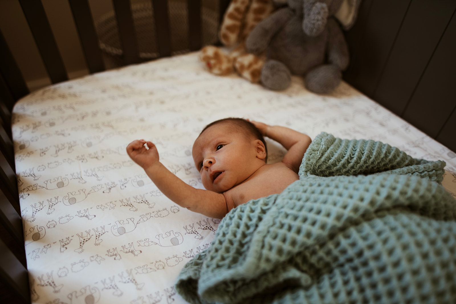 Baby Brooks lays in his crib with his arms up during the boise lifestyle newborn session